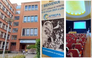 Retours sur les moments clés du colloque de l’Afrépa (et rendez-vous à Montréal)