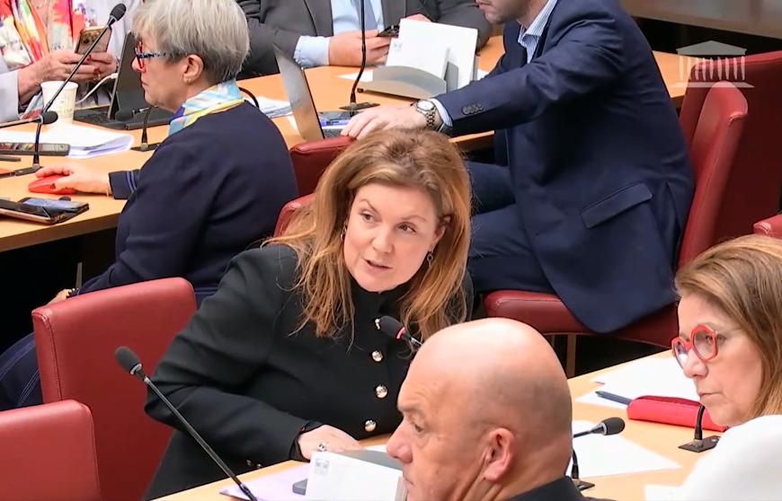 Une députée de la majorité demande que la dissociation ne s’applique pas à l’audio