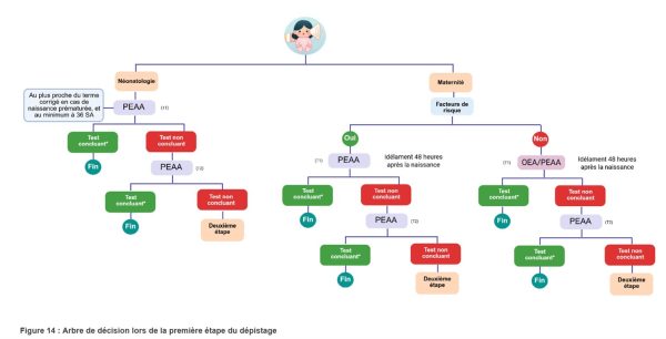 recommandations de la HAS sur le dépistage de la surdité permanente néonatale