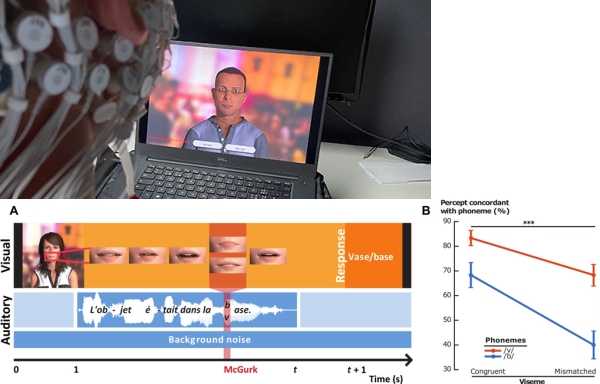 Canal Compréhension orale ou lecture labiale : une étude suisse montre comment le cerveau privilégie le canal auditif ou visuel