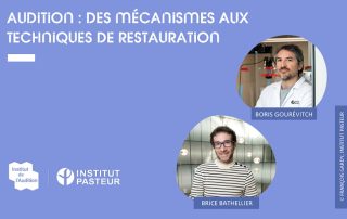 Une formation pour les étudiants et les professionnels sur la recherche en audition