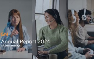 GN rapport annuel 2024
