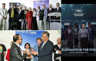 « Elephants in the fog » remporte le Prix de la meilleure création sonore à Cannes