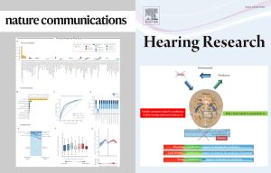 Des chercheurs de l’institut reConnect explorent les facteurs prédictifs des acouphènes