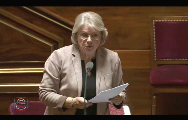 Grand âge : une sénatrice demande au gouvernement de répondre aux audioprothésistes