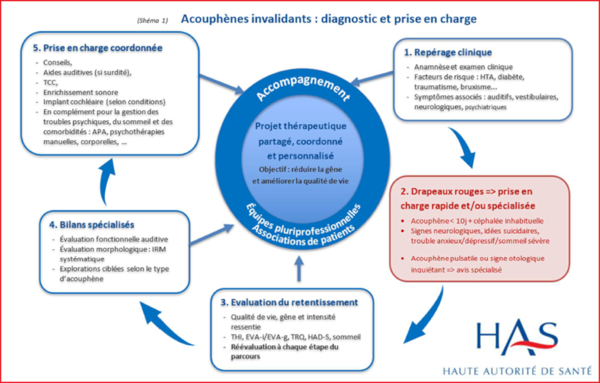 Acouphènes : la HAS publie ses recommandations