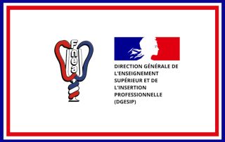 La Fnea de nouveau reçue par la DGESIP
