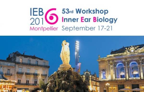 inner ear biology