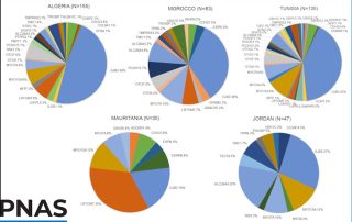 Une requalification des surdités génétiques va améliorer diagnostic et prise en charge