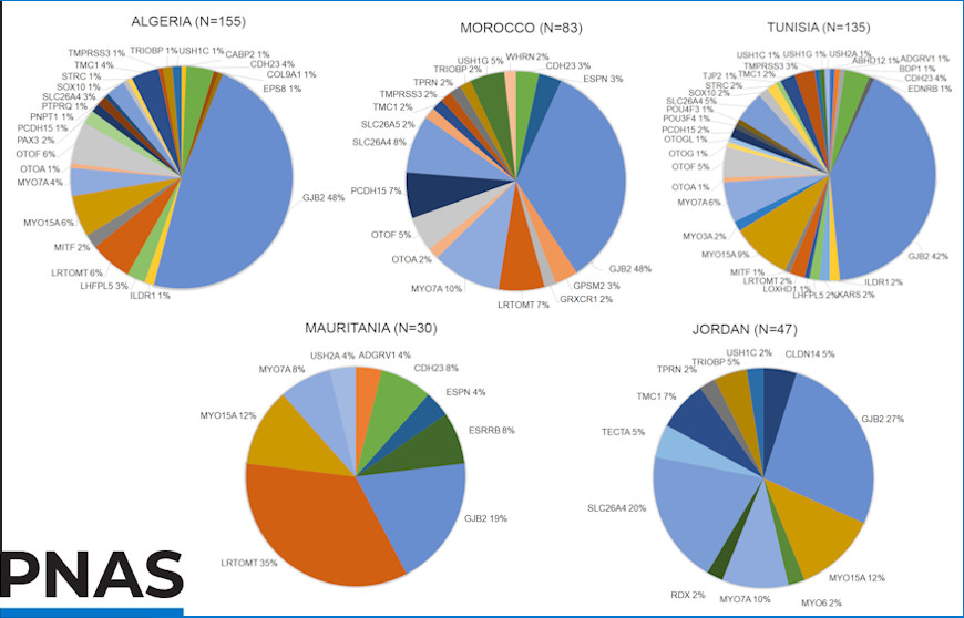 Une requalification des surdités génétiques va améliorer diagnostic et prise en charge